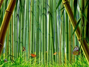 bamboo uses