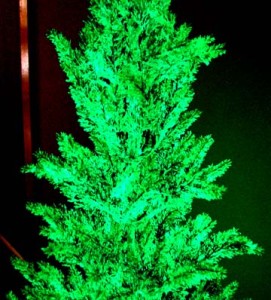 self-illuminating-christmas-tree