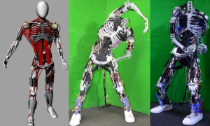 human-muscle-bone-robot