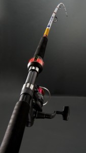 smart-fishing-pole